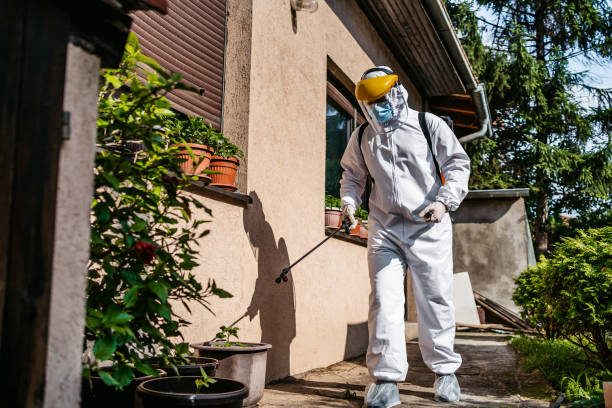Professional Pest Control in Haliimaile, HI