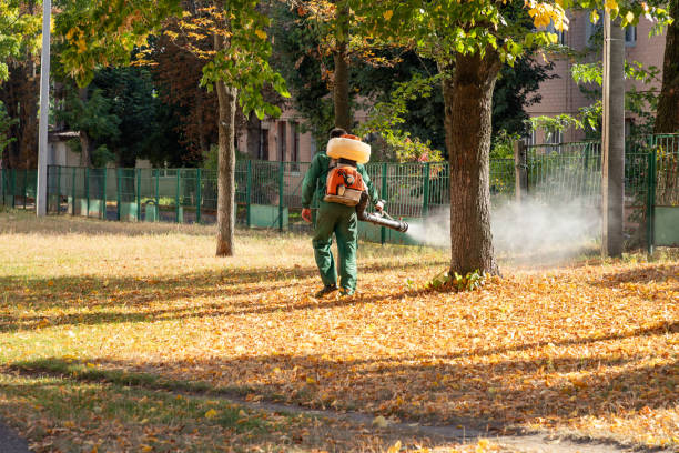 Best Pest Removal Services  in Haliimaile, HI